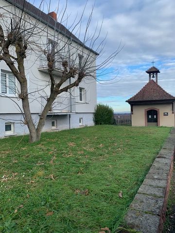 Ammerschiwihr - Vignoble - Photo 3