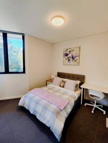 3 bed 2 bath-317 - Photo 4