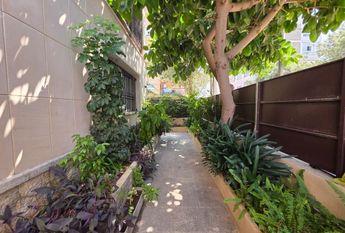 Carrer de la Singladura, 5, Platja de Palma, 07610 Can Pastilla, Illes Balears, Spain, Ca'n Pastilla, Balearic Islands 07610