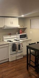 Large 1 Bedroom Basement Parkdale / Liberty Villa Line - Photo 3