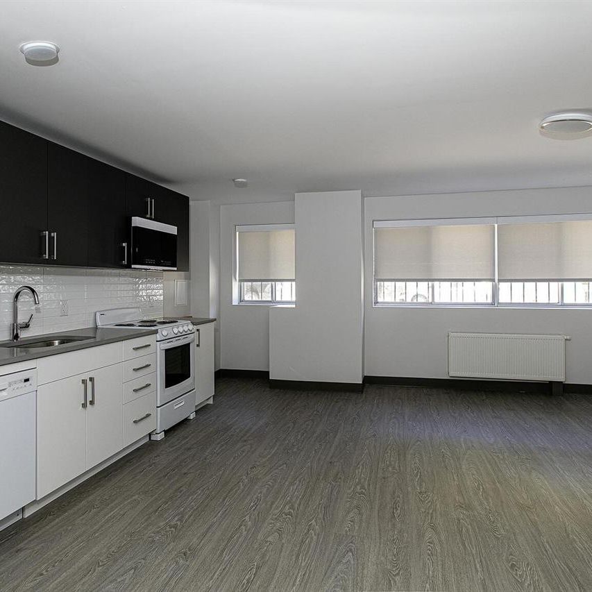 1 Bedroom Type 2 - 3605 Rue Saint-Urbain, Montréal - Photo 1