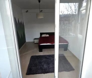 Apartament de inchiriat 2 camere Tudor Vladimirescu - Fotografie 2