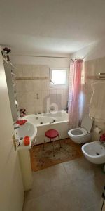 TRANQUILLO E SOLEGGIATO - Photo 4