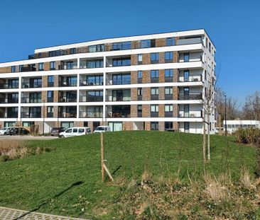 5000, Namur - Foto 3