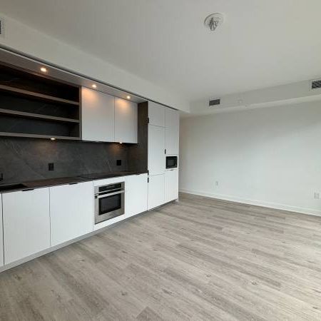 Brand-New 3 Bed 2 Bath Condo In Yorkville For Rent - Photo 4