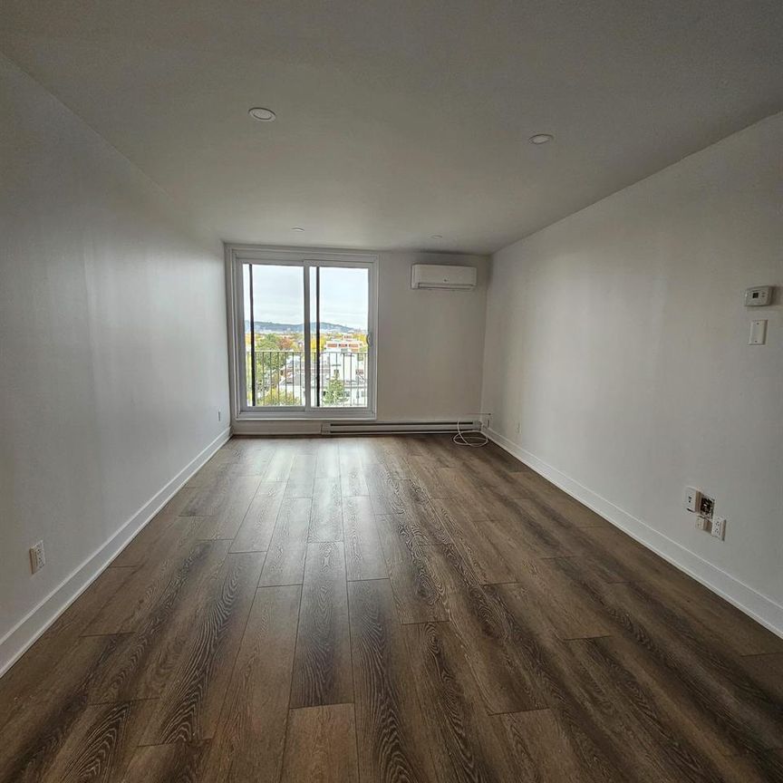 1 CH - 1 SDB - Montréal - $1,545 /mo - Photo 1