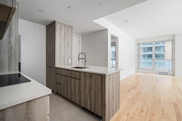 Condo for rent, Montréal (Ville-Marie) - Photo 1