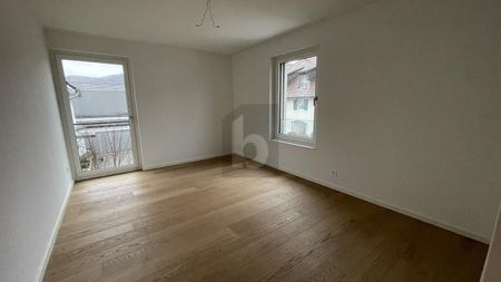 BRIGHT AND MODERN, DIRECTLY ON THE RHINE - Photo 4