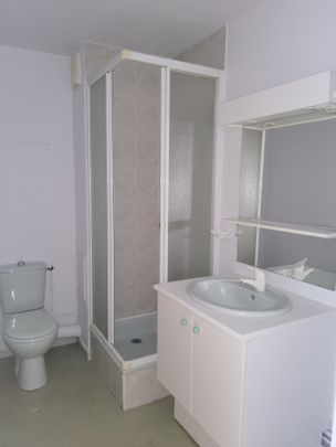 Location Appartement 1 pièce 20m² CLERMONT FERRAND 63000 - Photo 1