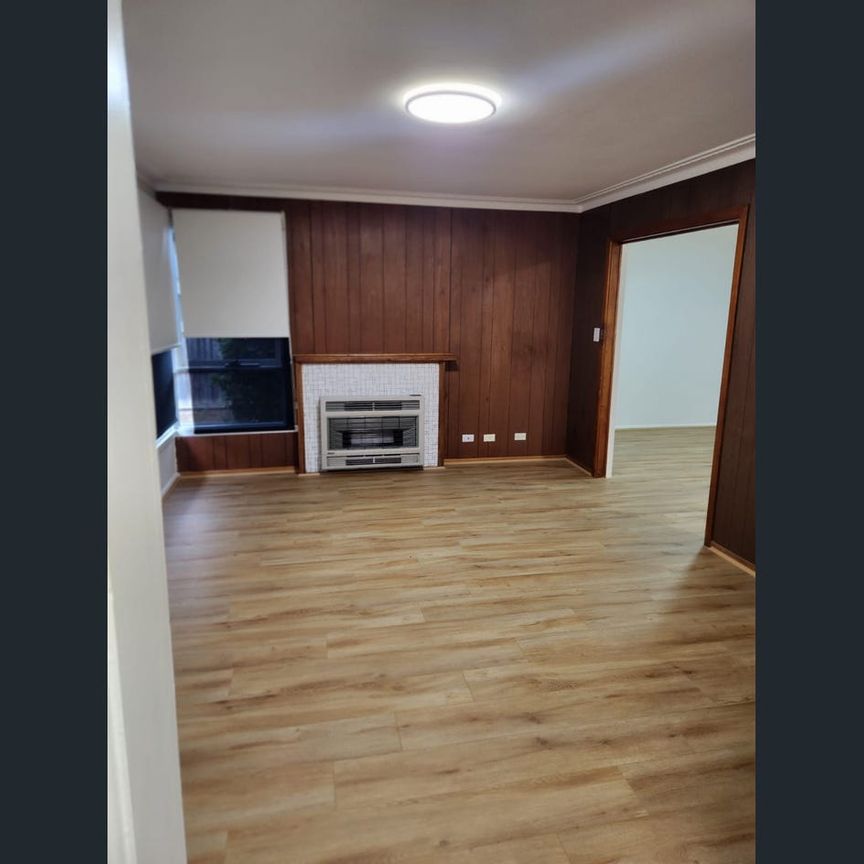 Renovated Family Home in Prime Location with Huge Backyard - Photo 1