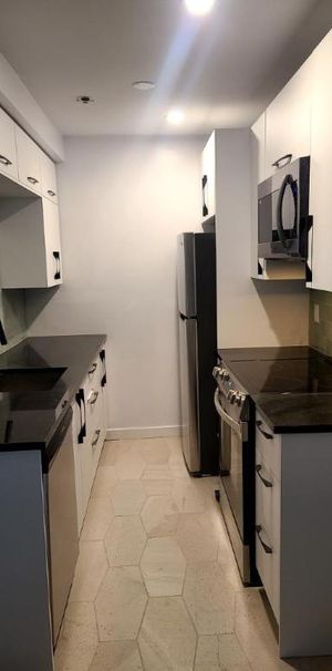 2 1/2 - Montréal (Le Plateau Mont-Royal) - 1 575 $/mois - Photo 1