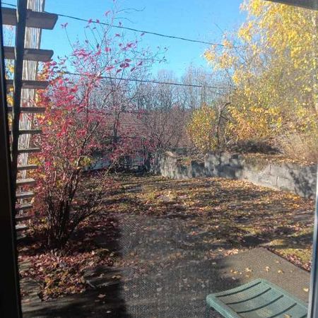 Chambre 1 1/2 acceptant 1 chat - Photo 3