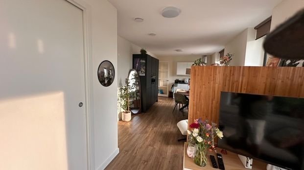 TILBURG, Atelierstraat - Photo 1