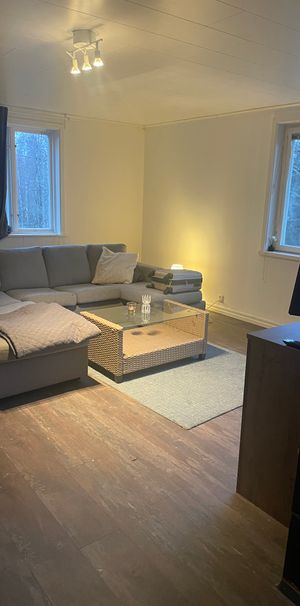 Flugtjärnsvägen, Sollefteå - Foto 1