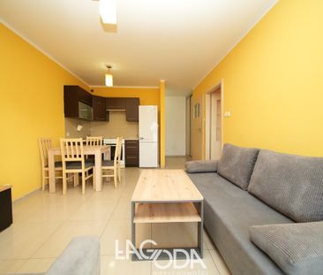 Gorzów Wielkopolski - Photo 2