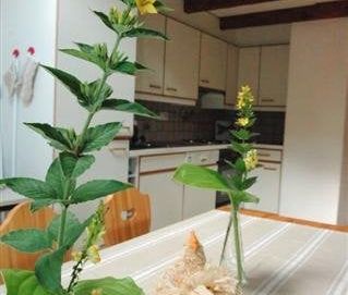 4.5 Zimmer, 107 m² - Foto 4
