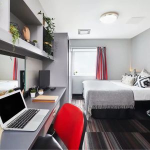 Superior King Studio - Photo 2