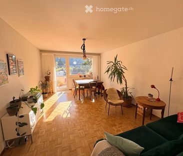 12 m² - Photo 1