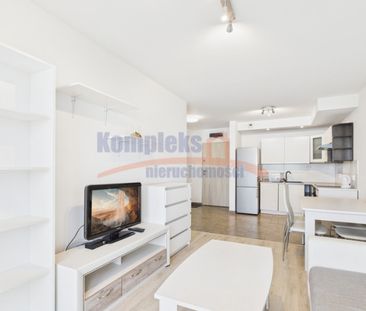 Śródmieście, ul. Potulicka, Szczecin - Zdjęcie 1