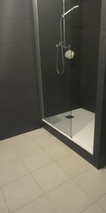 Appartement T3 près de COLOMIERS à louer - Photo 4