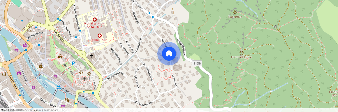 3600, Thun, Höheweg