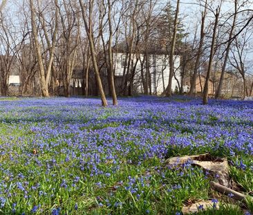 For Lease - 68 Scott Street Unit# A, Brampton, Ontario - Photo 4