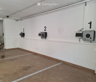 Grüne Oase inmitten der Stadt - Photo 5