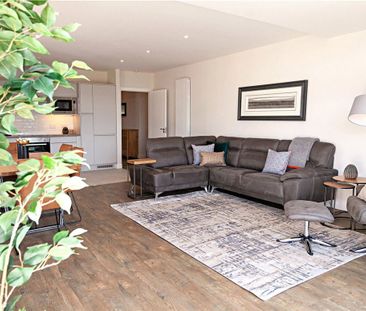 Jameson Orchard, Malahide, Dublin - Photo 4