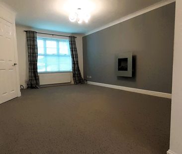 The Crimbles - Photo 2