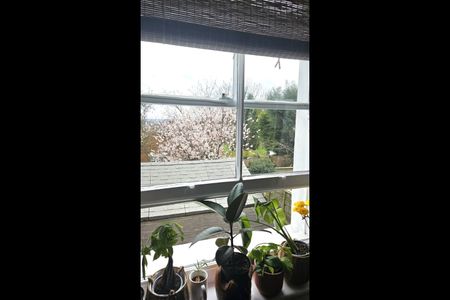 Studio Flat, Cintra Park, SE19 - Photo 4