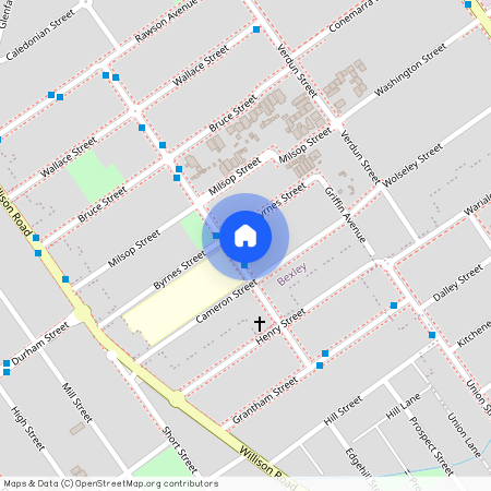 42 Percival Street, Bexley, NSW 2207