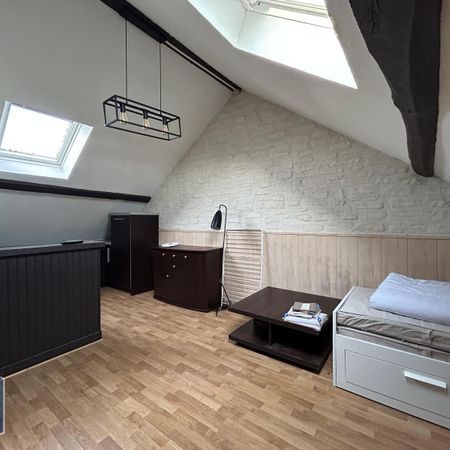 Location Appartement 1 pièce 16m² BLOIS 41000 - Photo 4