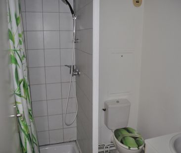 Location Appartement 1 pièce 24m² - Photo 5