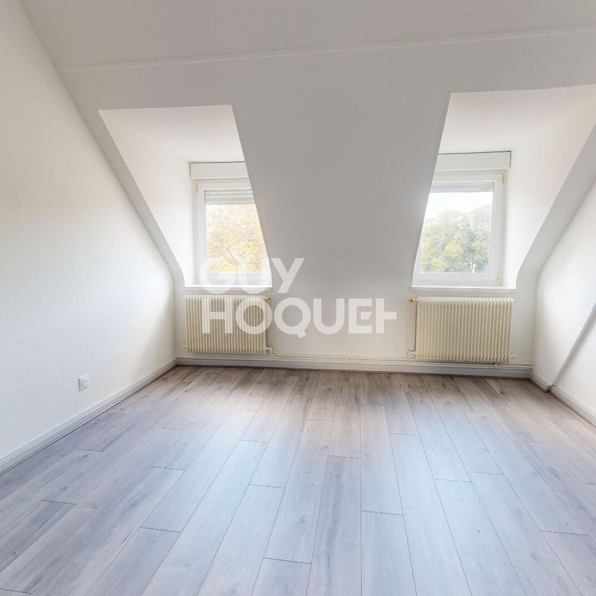 LOCATION d'un appartement de F2 bis (44 m²) à MULHOUSE - Photo 1