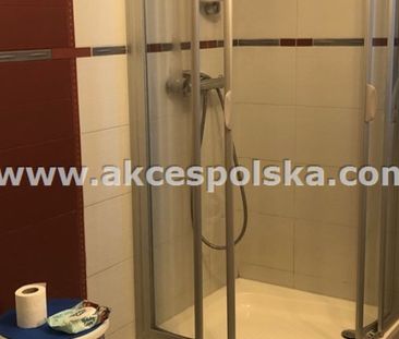 Dom na wynajem - Zdjęcie 4