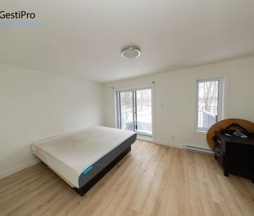 72-74-76 Arthur-Dion - Photo 6