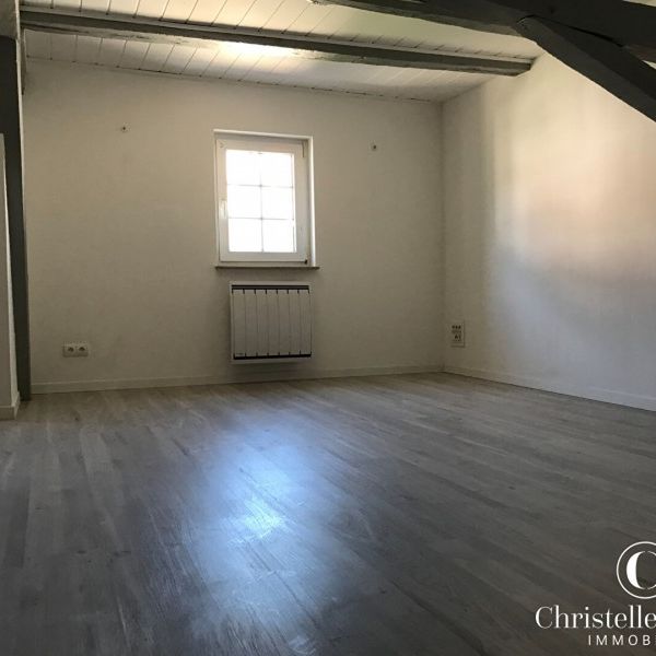 Appartement - BUSCHWILLER - 85m² - 2 chambres - Photo 1