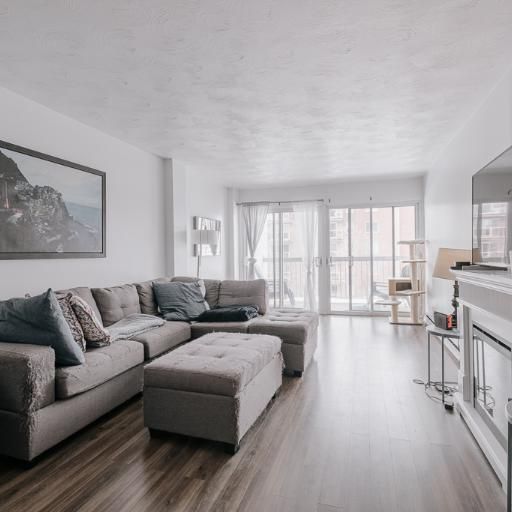 Appartement 4 ½ à louer Sainte-Foy / Sillery juillet 2026 - Photo 1