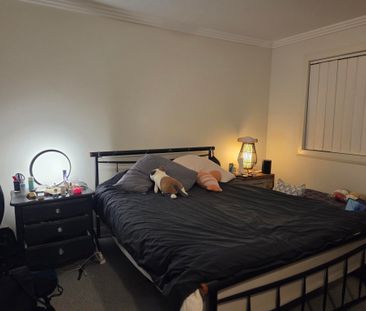 Forestville - Photo 6