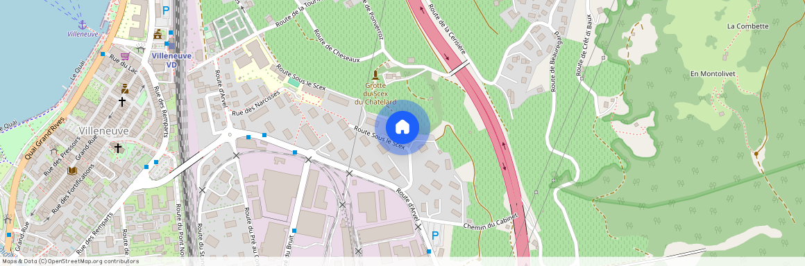 Route Sous le Scex 1, 1844 Villeneuve VD