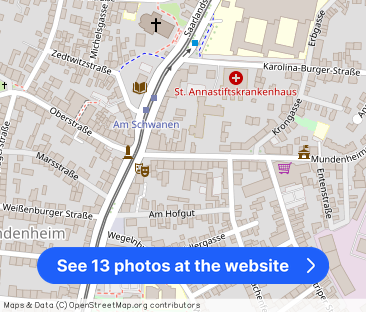 Top ausgestattete Penthouse-Maisonette mit Rheinblick - Photo 1