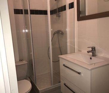 Location Appartement 1 pièce 20m² - Photo 3