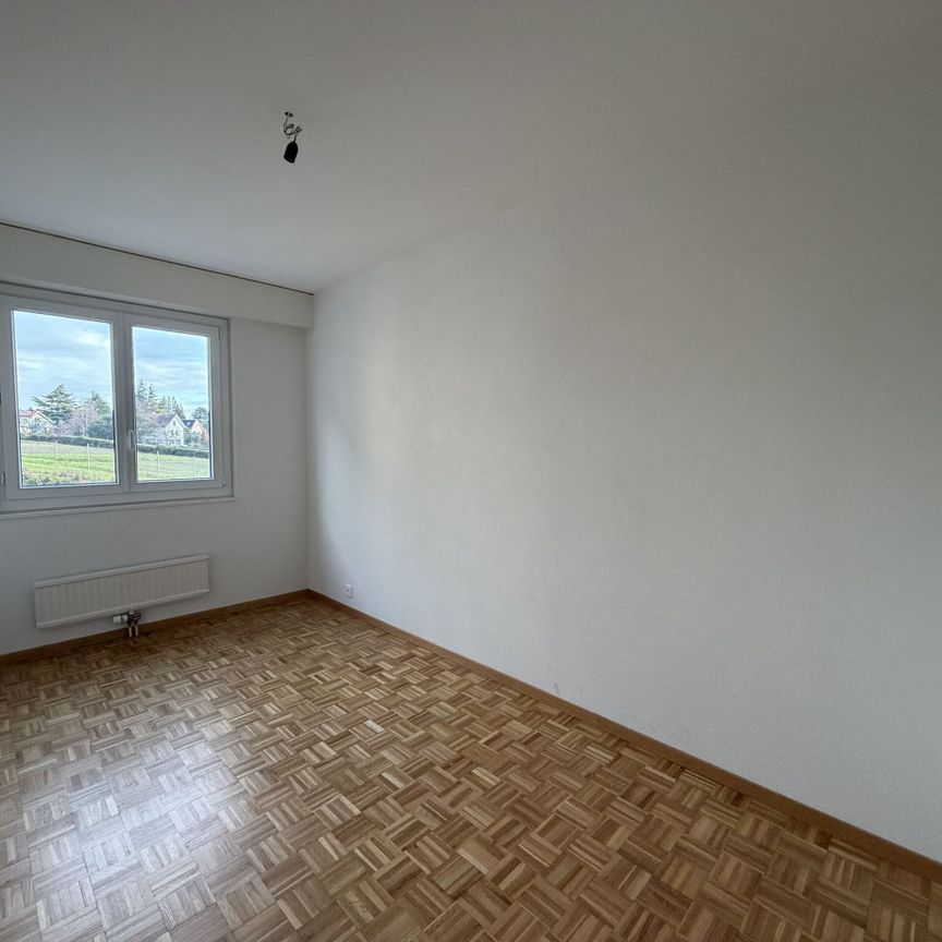 Beautiful fully renovated apartment in Morges - Photo 1