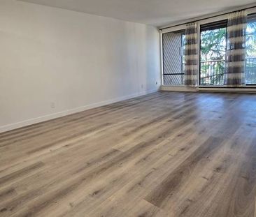 Location, Spacious, Renovated One Bedroom in Popular Sharon Gardens - Photo 3