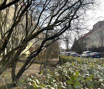 Pogodno * umeblowane * wysoki parter - Фото 2