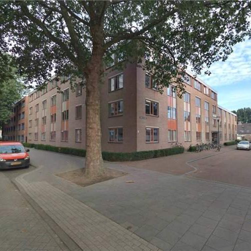 Chambre Dr Joop den Uylstraat 26/F, Eindhoven - À louer - Photo 1