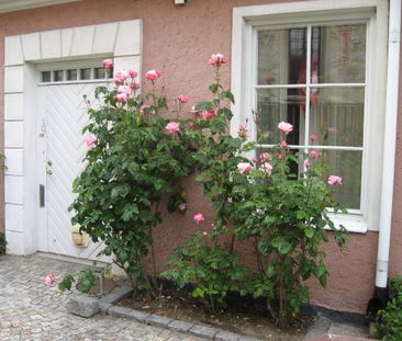 Stora Rådmansgatan, Simrishamn - Foto 2
