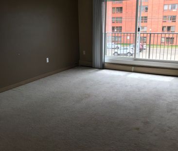 Apartment in Downtown, Close to All Amenties and Pet Friendly - Photo 4