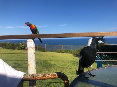 Copacabana - Photo 4