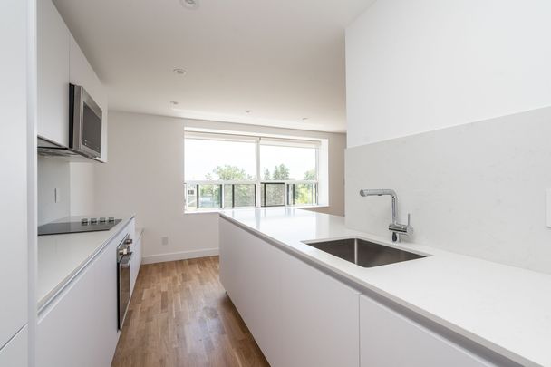 55 Eccleston Drive - Photo 1